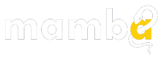 Mamba Digital